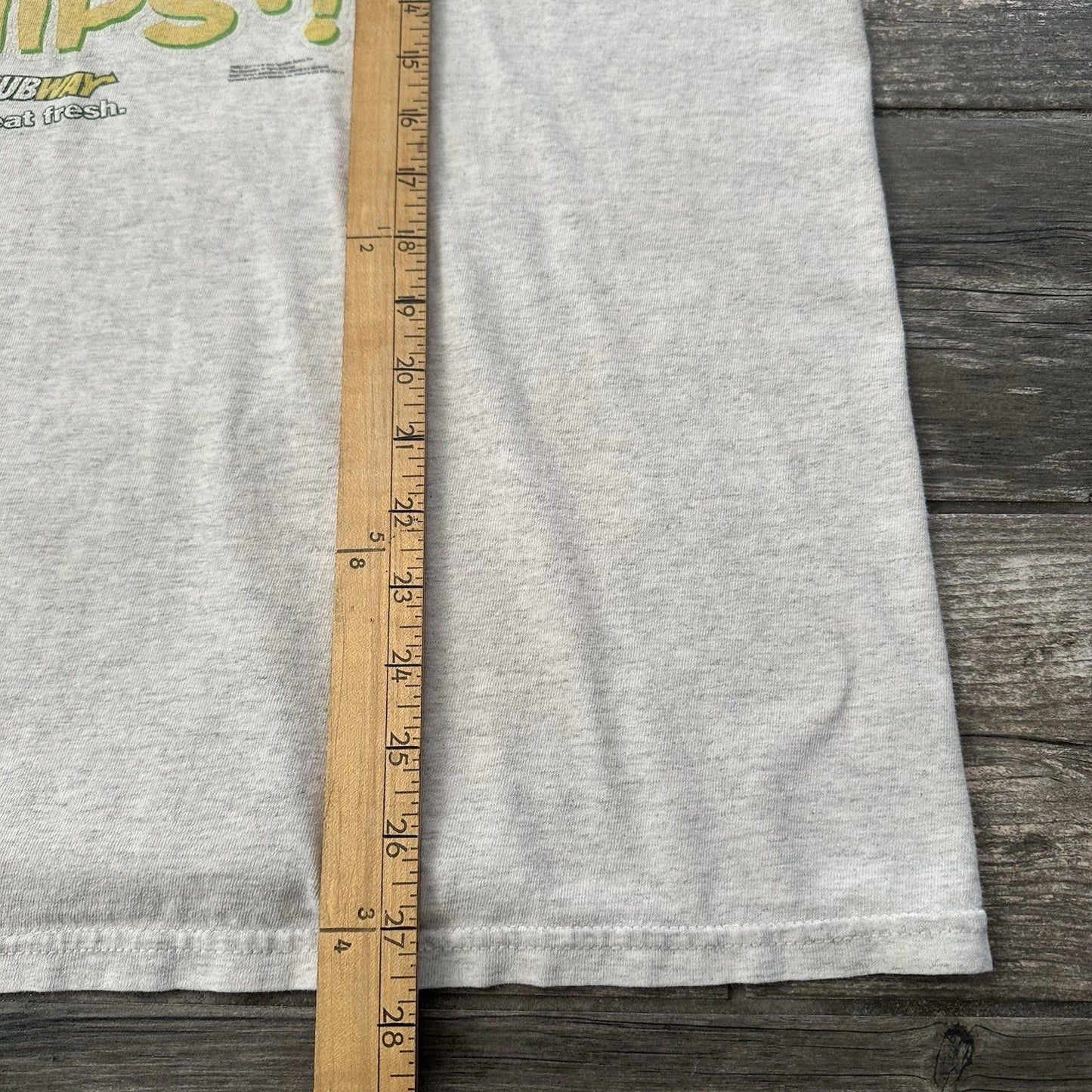 SUBWAY FAMILY GUY PETER GRIFFIN TV PROMO T-SHIRT GRAY XL DID SOMEONE SAY CHIPS Yesterday's Fits Clothing Fashion Vintage Streetwear Fashion Item