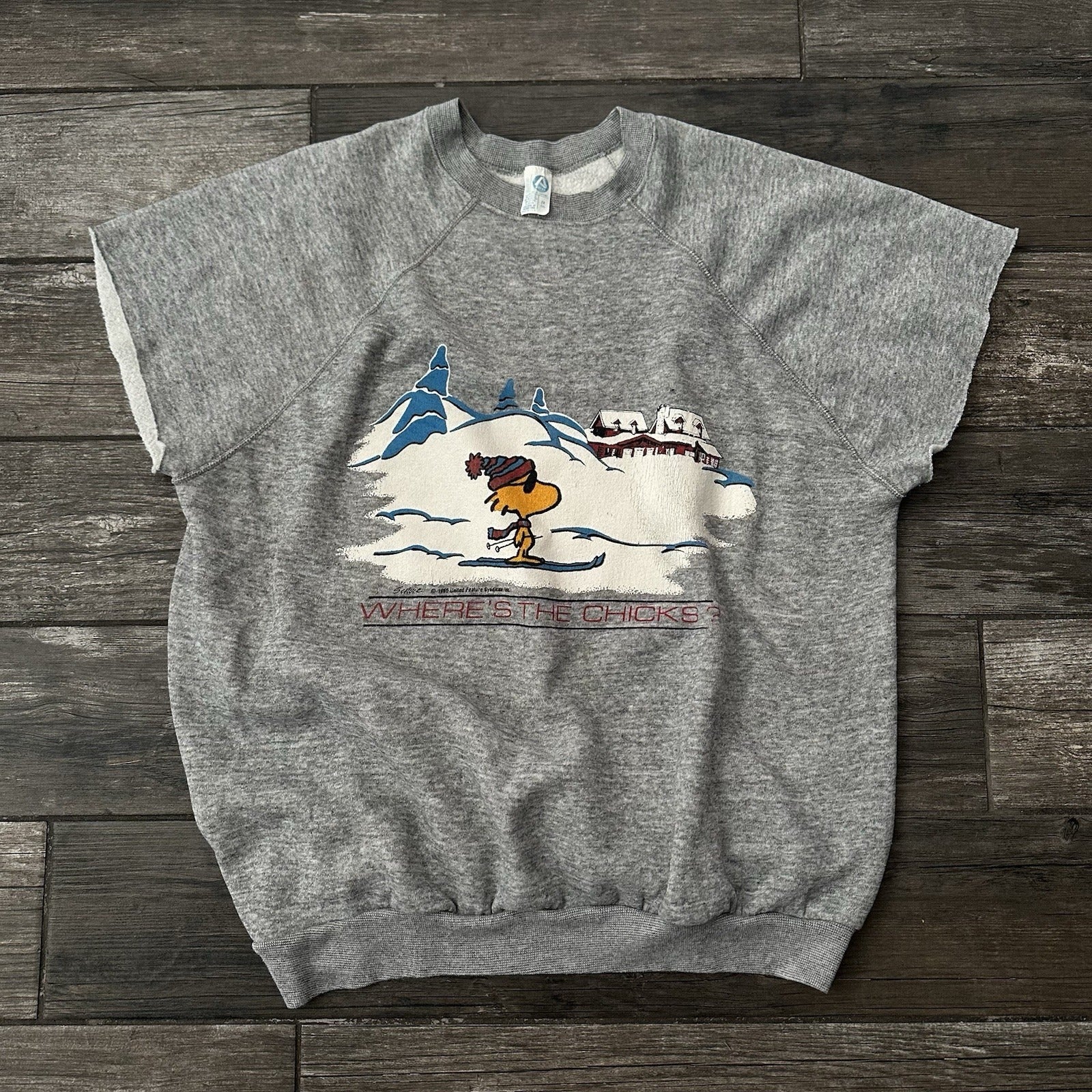 VTG 80'S PEANUTS 'WHERE'S THE CHICKS?' WOODSTOCK SKIING GREY SWEATSHIRT SZ 2XL Yesterday's Fits Clothing Fashion Vintage Streetwear Fashion Item
