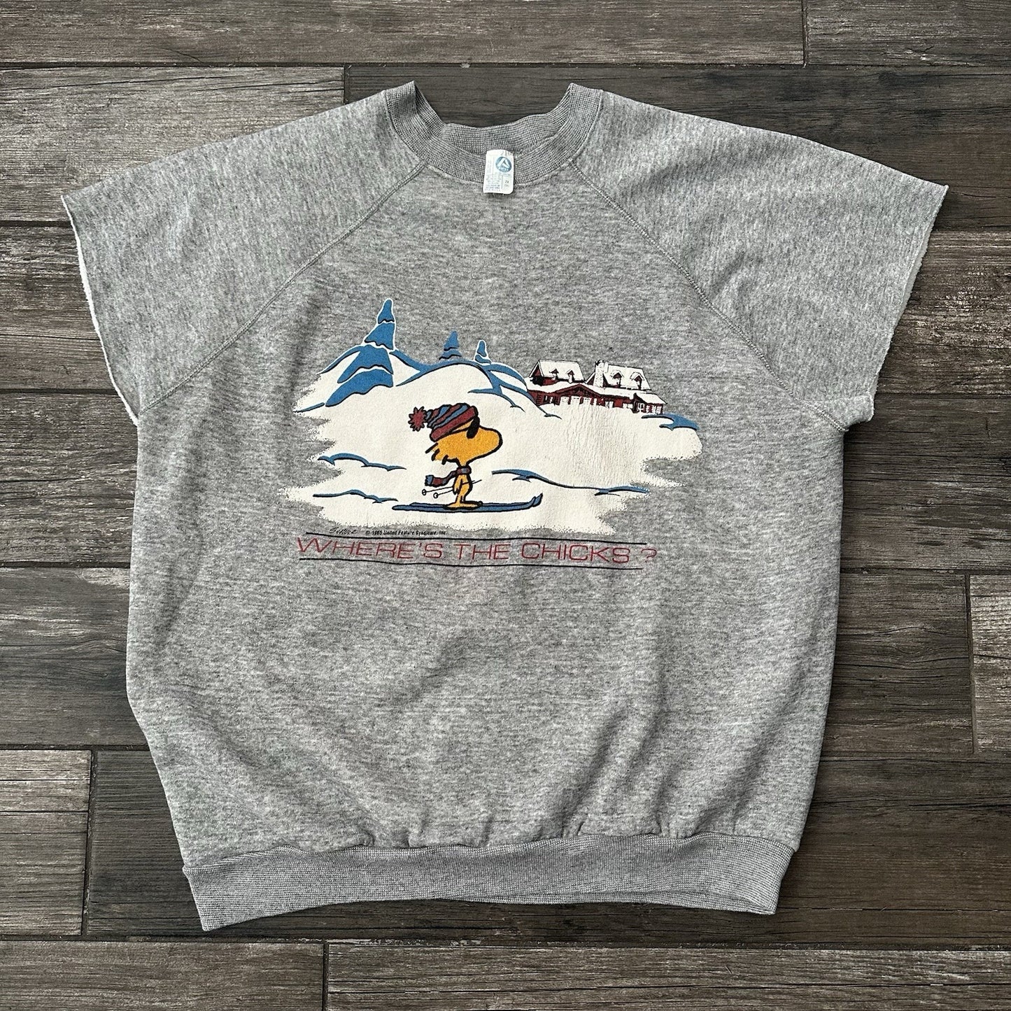 VTG 80'S PEANUTS 'WHERE'S THE CHICKS?' WOODSTOCK SKIING GREY SWEATSHIRT SZ 2XL Yesterday's Fits Clothing Fashion Vintage Streetwear Fashion Item