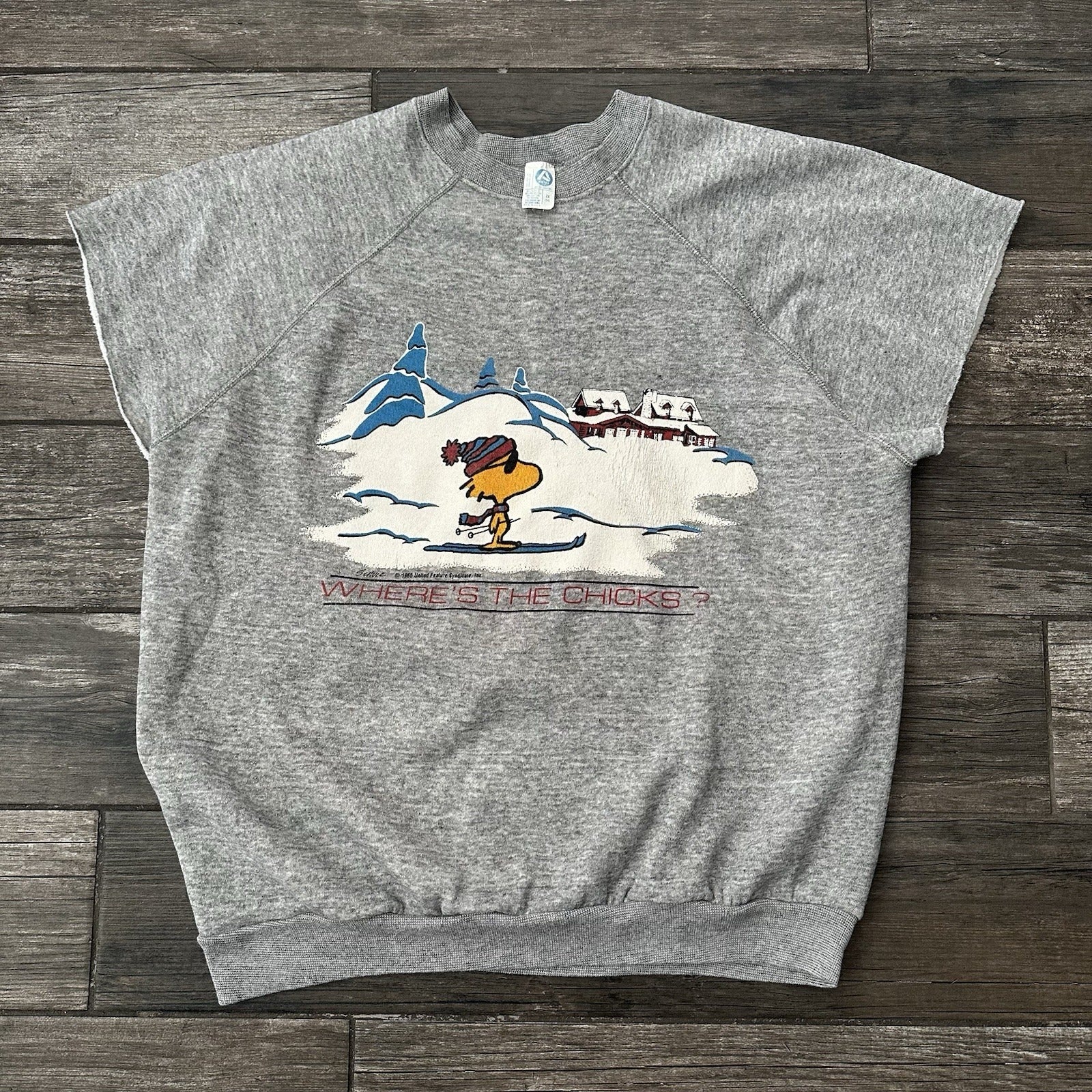 VTG 80'S PEANUTS 'WHERE'S THE CHICKS?' WOODSTOCK SKIING GREY SWEATSHIRT SZ 2XL Yesterday's Fits Clothing Fashion Vintage Streetwear Fashion Item