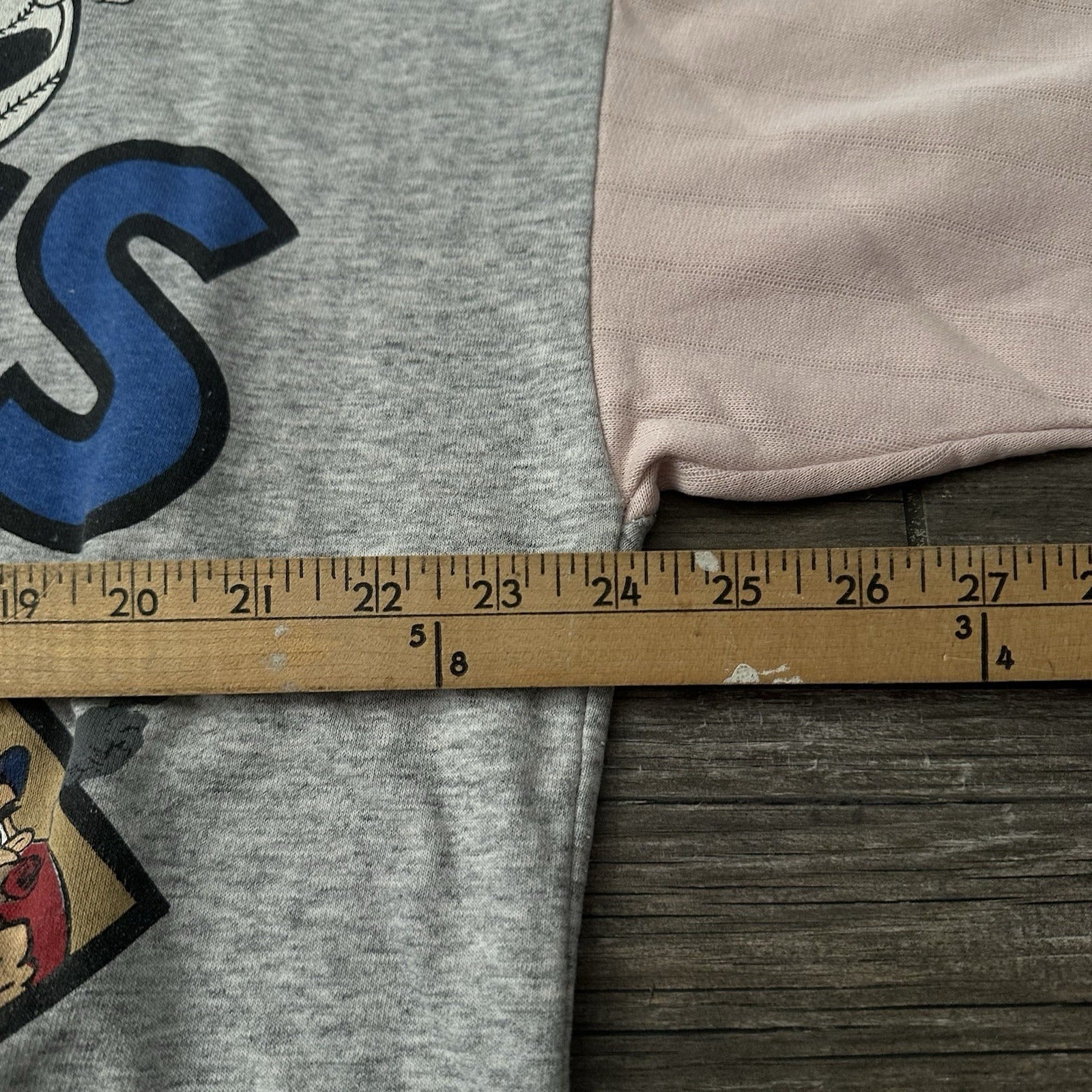 VTG 1996 WARNER BROS LOONEY TUNES BASEBALL PINK GRAY CARTOON HOODIE FITS SZ L Looney Tunes Clothing Fashion Vintage Streetwear Fashion Item