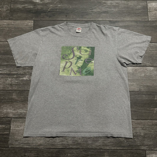 SUPREME VENUS GREY PHOTO GRAPHIC TEE T-SHIRT SZ L 2017 AUTHENTIC SHORT SLEEVE Supreme Clothing Fashion Vintage Streetwear Fashion Item